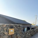 막다른 둥지 이미지