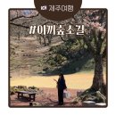 예림이네민박 | 애월카페 이끼숲소길 :: 제주여행 이색 힐링 카페(+벚꽃)