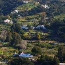 하얀마을 이미지