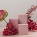 디자인비바 이미지