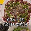 함평해보뻘낙지 이미지