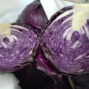 띠앗농장 이미지