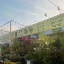 늘봄꽃화원 이미지