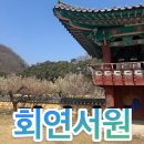 성주 회연서원 매화 고즈넉한 한옥의 미 아이와 가볼만한곳 힐링 산책