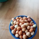 일도농장 이미지