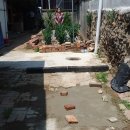 금포초등학교 이미지