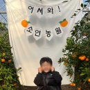 소연농원 - 거창군 진마루길 239-51 | 소연농원