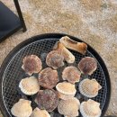 펜션 놀스페이스 이미지