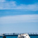 신창싱계물 이미지