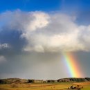 오곡면사무소 이미지