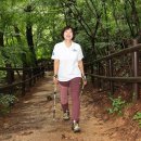 전신 걷기 운동 노르딕 워킹 이미지