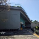 메이즈랜드 | 제주 메이즈랜드 갔는데 생각보다 훨씬 커서 아이들도 어른도 신나게 놀고온 후기