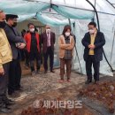 망성면 행정복지센터 이미지