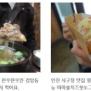 백년양계장 이미지