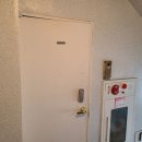 삼일아파트 여자 이미지