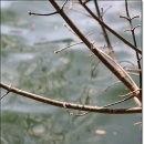 옥포식당 이미지