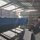 신가리낚시터 이미지