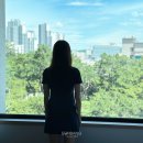 울산 숙소 추천, 라한호텔 울산 호캉스 후기 (여름 시즌 백미당 프로모션 &amp; 실내 수영장 &amp; 조식)
