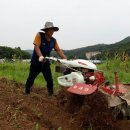 수군농장 이미지