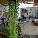 화가의정원 이미지