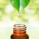 아로마약국 이미지