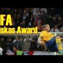 2014 FIFA 푸스카스상 후보 (제일 멋진 골).swf 이미지