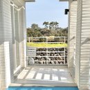 스테이 다연 이미지