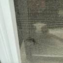 센트럴 S타운 이미지