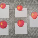 보태니컬 이미지