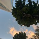 본아베띠 이미지