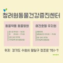 청려원 반려동물 센터 이미지