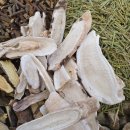 올진한의원 이미지