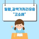 밀웜 고소애 효능과 영양성분 이미지