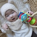 쎄씨 | 8개월 9개월아기장난감, 4개월 아기도 반응 좋은 쎄씨바다친구흡착장난감 후기