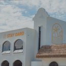 스테이 다로 이미지