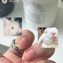 네일뮤트 - 진주시 사들로 30 | 네일뮤트