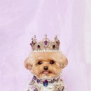 뽀드득 블랑스파 이미지