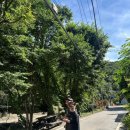 팔현리163 이미지