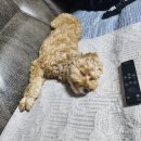 (신중년인생학교) 공간이 주인은 사람 우리집 수납정리(하반기) | 10월