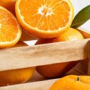 달달청과 이미지