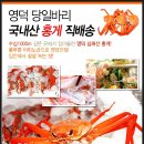 [영덕홍게]당일바리 배송.31,900원 ~주문폭주!!~ 이미지