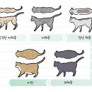 정상메디칼 이미지