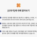초성주유소