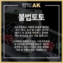 적중토토복권방