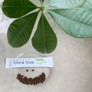 부개경희한의원 이미지