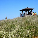 순호농장 이미지