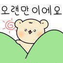 샤인79