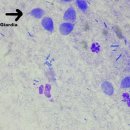 양주동물병원 이미지