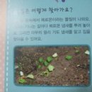 (주)개미창고 이미지