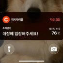 짬뽕면가 | 파주맛집 초마면가 짬뽕만하는곳 후기